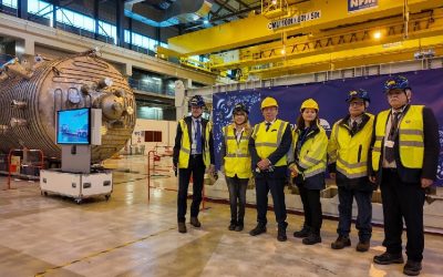 Expertiză rusească la reactorul nuclear european: Pașapoartele, lăsate la intrare