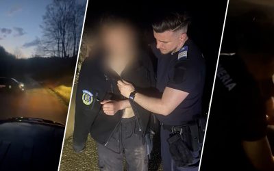 Urmărit de urs, un tânăr a fugit din fața prădătorului. Jandarmii l-au salvat