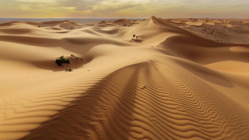 Japonia și Norvegia inovează: Nisipul din deșert, transformat în material de construcții