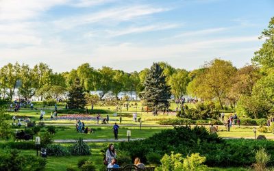 Festivaluri de film: O’Clock, Alpin și Hanami, weekend plin în România