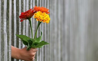De ce dăm flori IMPAR la bucurie și PĂRERE la tristețe
