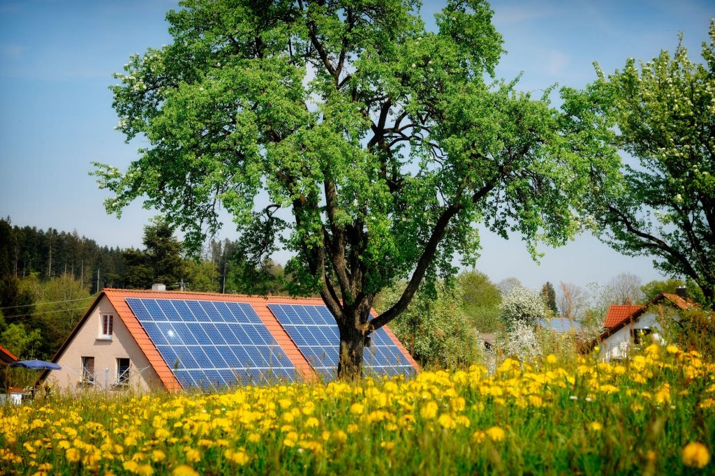 Lemn revoluționar: Inginerii crează material care produce energie și noaptea