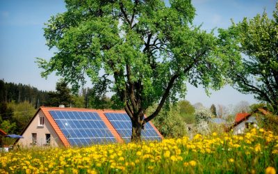 Lemn revoluționar: Inginerii crează material care produce energie și noaptea