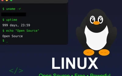 Franța renunță la Windows: Vrea Linux pentru a scăpa de giganții tech