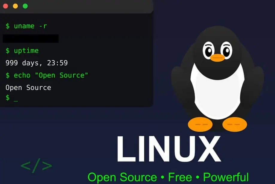 Franța renunță la Windows: Vrea Linux pentru a scăpa de giganții tech