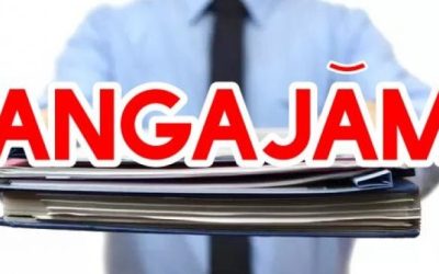 Angajări ACUM în România: Firmele „se bat” pe necalificați, șoferi și curieri