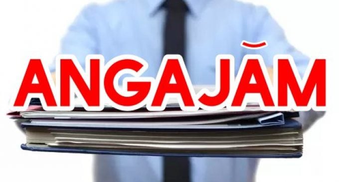 Angajări ACUM în România: Firmele „se bat” pe necalificați, șoferi și curieri