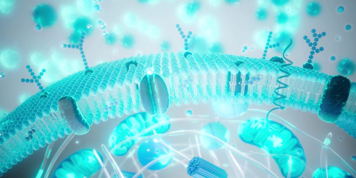 longevitatea-imbatranire-shutter_descopera-scaled.jpg - JurnalUrban