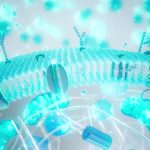 longevitatea-imbatranire-shutter_descopera-scaled.jpg - JurnalUrban