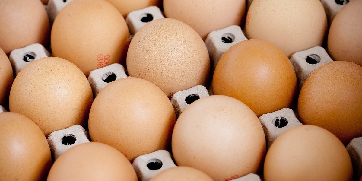 mads-eneqvist-X77nWyRG2Ck-unsplash.jpg - JurnalUrban