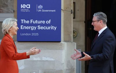 Marea Britanie: UE, ocolit de parlamentari pentru regulile pieței unice?