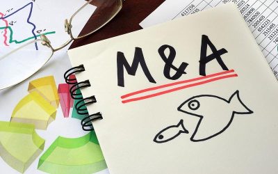 Carrefour și Garanti vând afaceri: Boom record în piața M&A din România