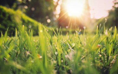 Vremea se încălzește, dar ploile vin: Unde și când va turna în România