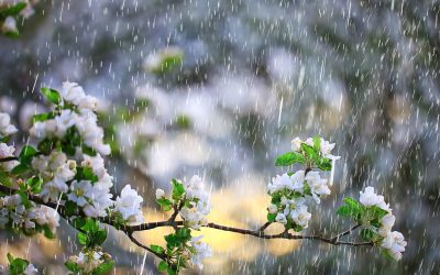 Vremea se schimbă brusc: Ploi și temperaturi în scădere în toată România