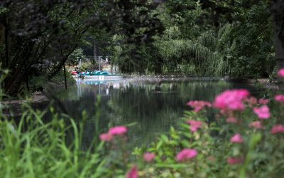 Vreme de primăvară de joi, cu ploi slabe