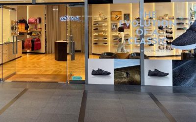 Compania care a renunțat la pantofi, pe valul AI: Creștere spectaculoasă la bursă