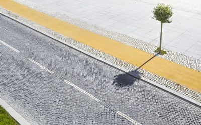 Accesul la copaci, un lux: Prăpastia „verde” adâncește inegalitatea în Europa