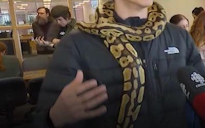 Universitatea canadiană, terapie-șoc pentru elevi: Șerpi anti-stres