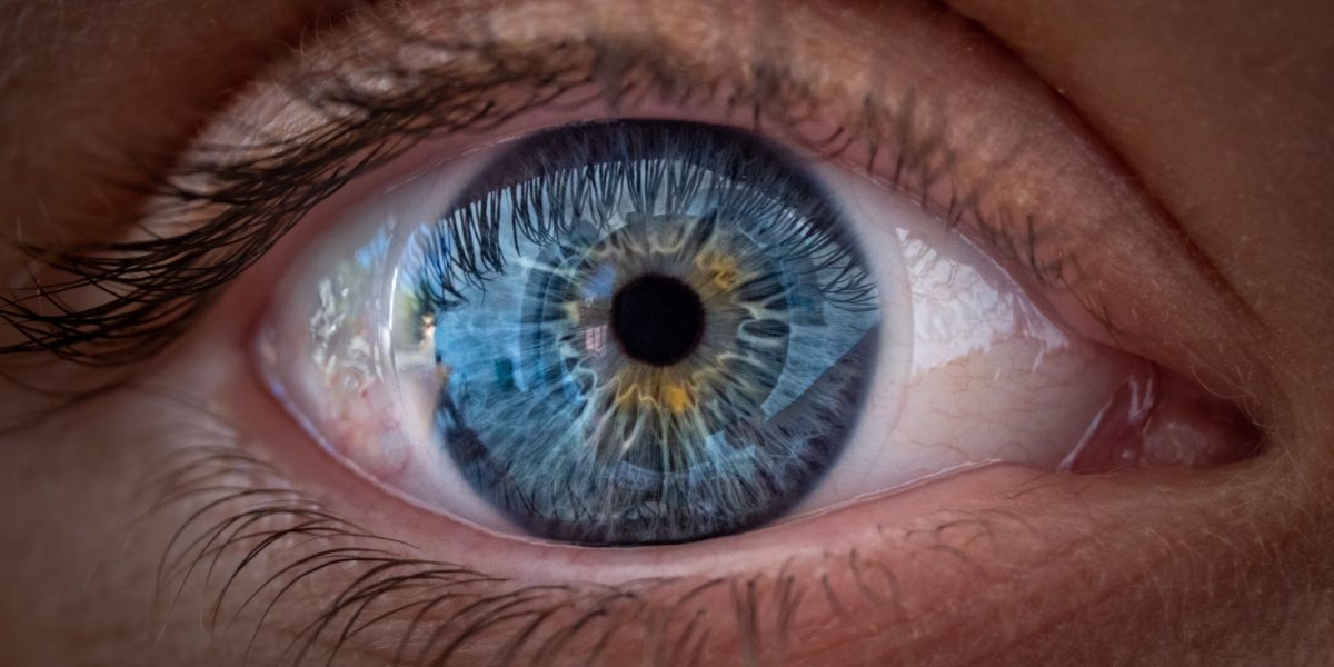 Ochii văd culorile, nu doar claritatea. Studiul ȘOC!