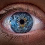 Ochii văd culorile, nu doar claritatea. Studiul ȘOC!