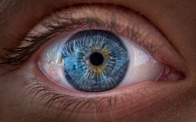 Ochii văd culorile, nu doar claritatea. Studiul ȘOC!