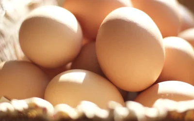 Alertă majoră înainte de Paște: 1,5 milioane de ouă cu Salmonella!