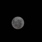 pana-la-luna-si-inapoi-nasa-lanseaza-in-aceasta-noapte-primul-zbor-cu-echipaj-uman-spre-luna-orarul.webp - JurnalUrban