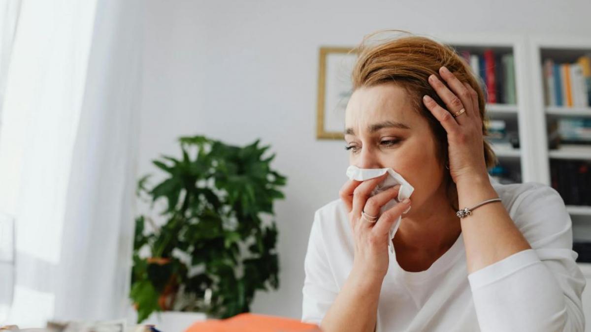 Mii de români se confruntă anual cu simptome severe cauzate de alergia la ambrozie, o problemă de sănătate publică care se acutizează, de obicei, în perioada august-septembrie