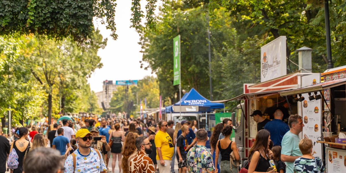 petitie-festivaluri-Bd-Kiseleff.jpg - JurnalUrban