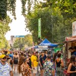 petitie-festivaluri-Bd-Kiseleff.jpg - JurnalUrban