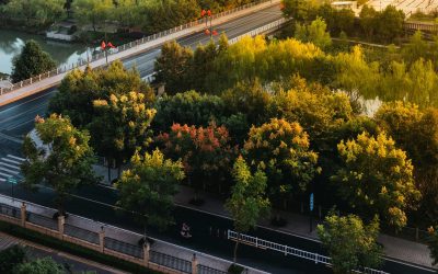 Galați: Patru păduri urbane, cu fonduri PNRR de 3,5 milioane lei