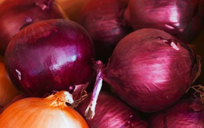 Ceapă roșie revoluționară: Gust blând, gata după 14 ani de cercetare