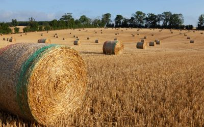 Comisia Europeană, undă verde pentru 300 milioane euro, ajutor Franței în agricultură