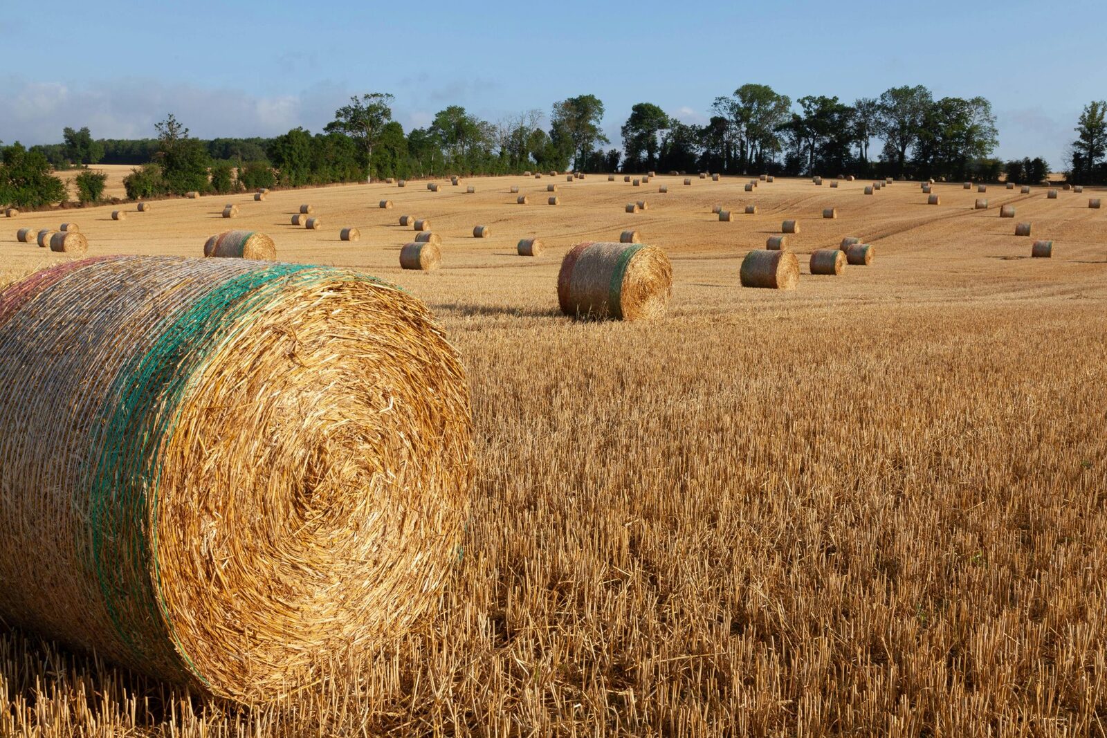 Comisia Europeană, undă verde pentru 300 milioane euro, ajutor Franței în agricultură