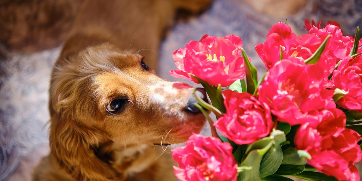 pexels-sb-9341498-scaled.jpg - JurnalUrban