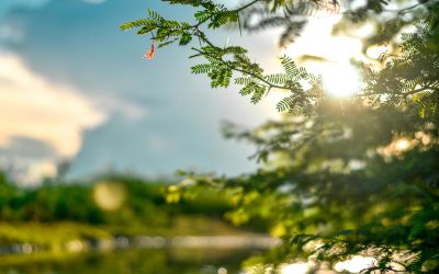 Pericole de la soare: Cum afectează pielea „ieșită din iarnă”