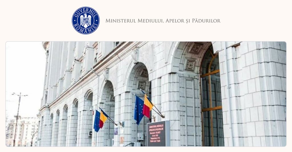 Guvernul, la dezbatere: Compensații pentru masa lemnoasă nerecoltată