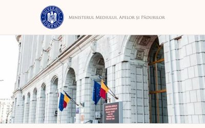 Guvernul, la dezbatere: Compensații pentru masa lemnoasă nerecoltată