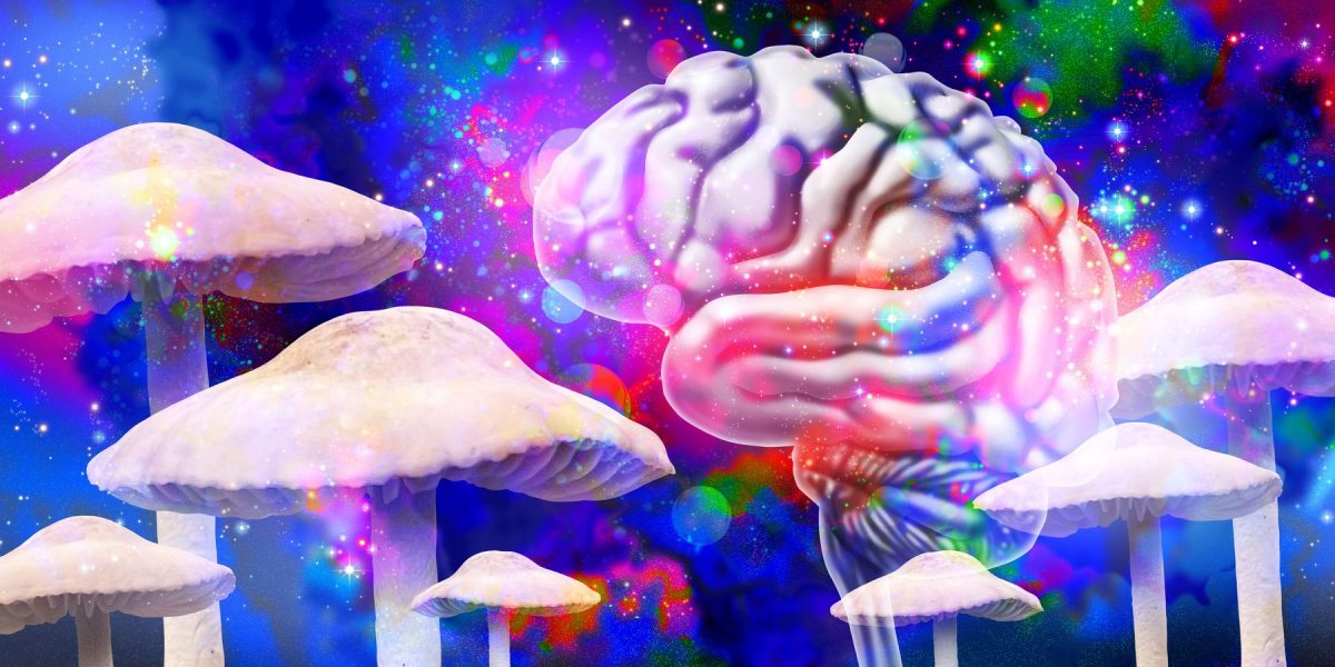 plante-psihedelice.jpg - JurnalUrban