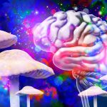 plante-psihedelice.jpg - JurnalUrban