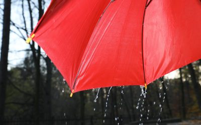 Nouă taxă pentru români: Apa de ploaie, reguli drastice pentru proprietari