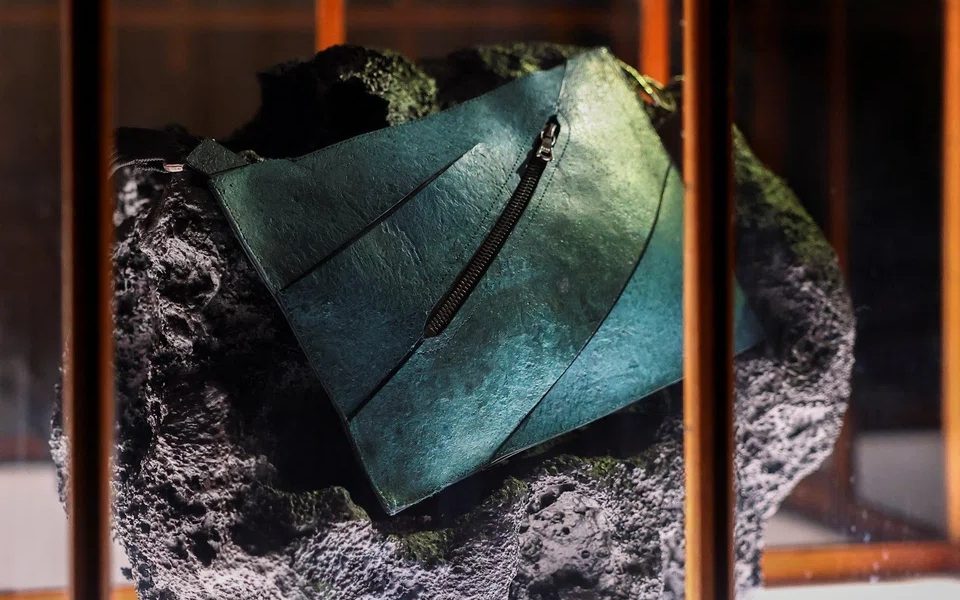 poseta-din-piele-de-dinozaur.jpg - JurnalUrban