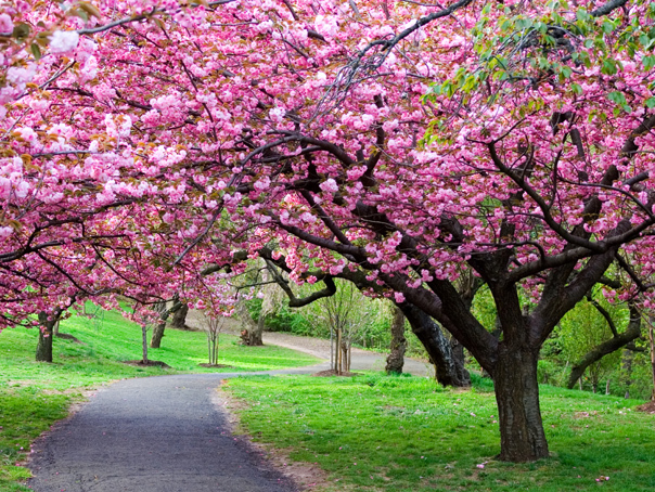 Vreme blândă în următoarele patru săptămâni, anunță ANM, dar și puține ploi
