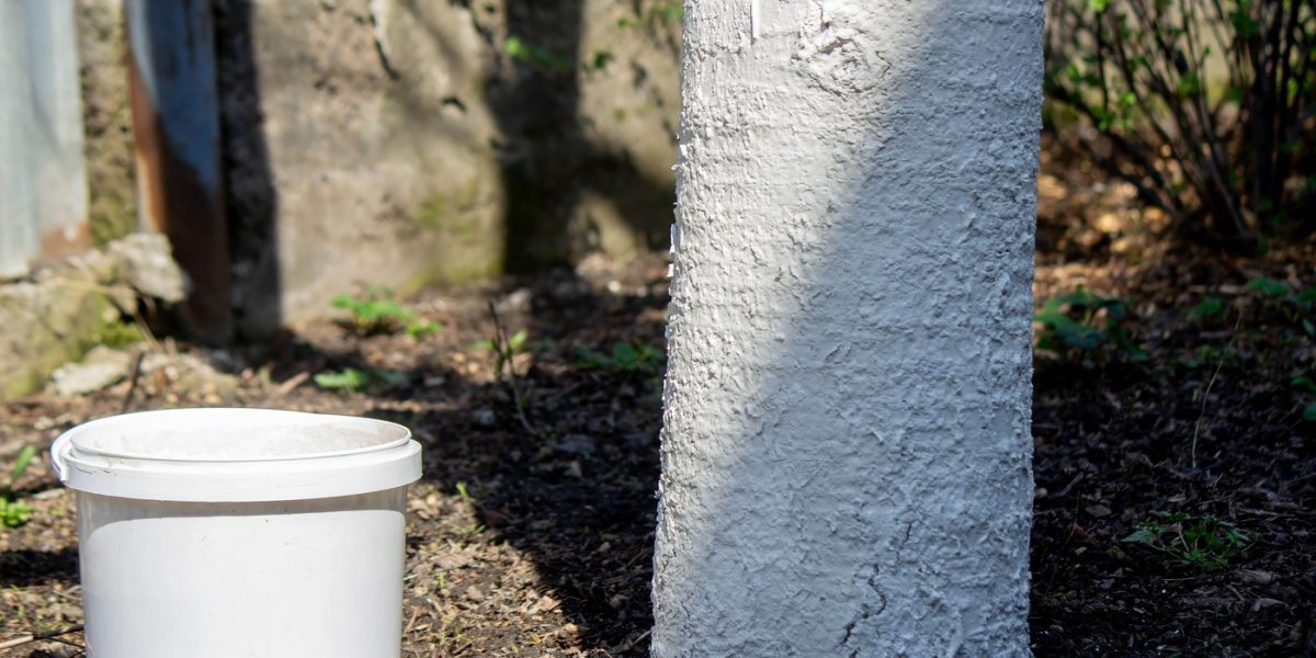 profimedia-0986524313.jpg - JurnalUrban