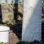 profimedia-0986524313.jpg - JurnalUrban