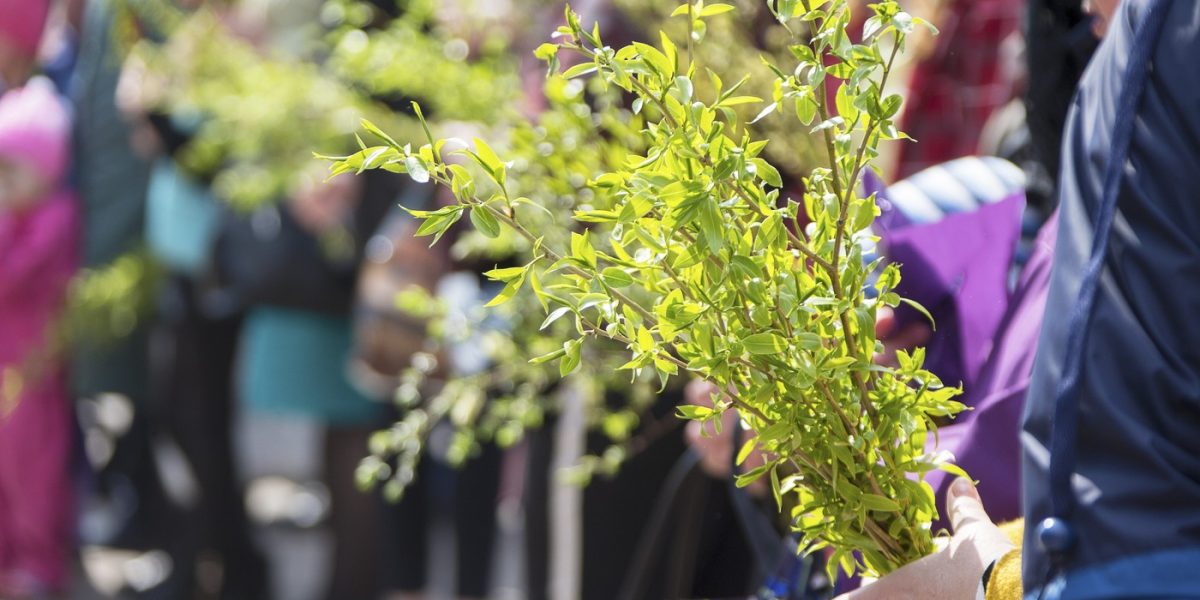 profimedia-1009883023.jpg - JurnalUrban