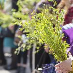 profimedia-1009883023.jpg - JurnalUrban