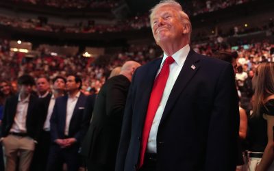 Milioane din pariuri pe Trump: Informații secrete, înainte de anunțuri