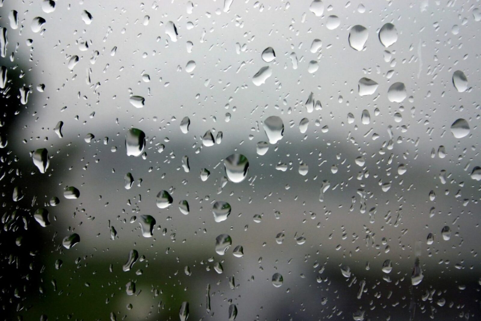 București: Va fi frig săptămâna viitoare, cu ploi. Prognoza meteo