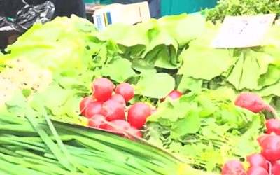 Observator cere lege anti-toxice în piețe: Exemplul Danemarca urmat de România?